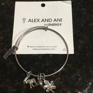 Alex and Ani, bracelet, Vermont with four charms